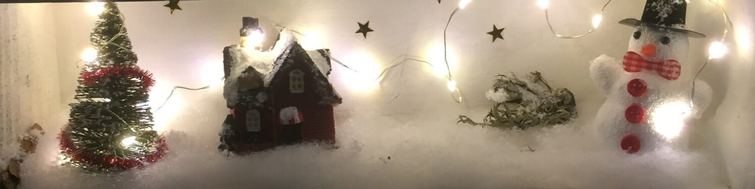 kerst 6 (2)